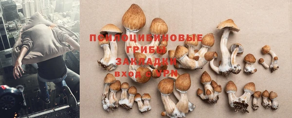 первитин Абаза