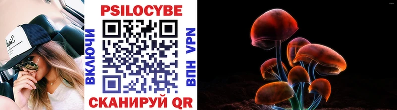 где продают   Лосино-Петровский  Галлюциногенные грибы Magic Shrooms 