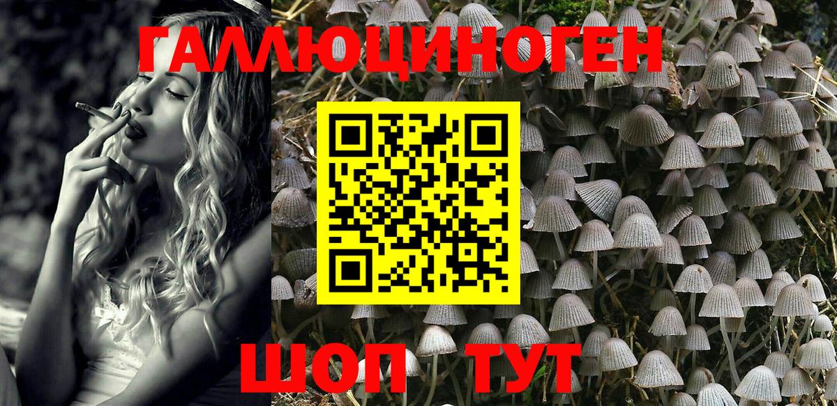 Псилоцибиновые грибы Magic Shrooms Лосино-Петровский
